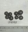 Click for 1 image(s) for this accession. FRUIT